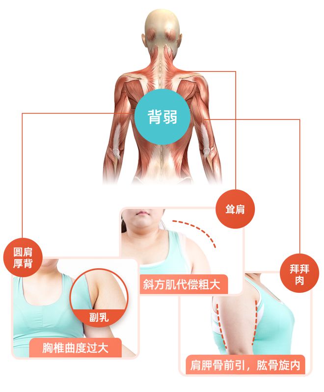 米乐M6：改变一个小习惯真的能让你看起来更显瘦(图2)