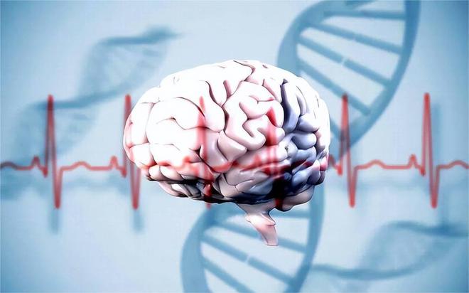 自己能知道自己已死亡？科学家：心脏停止跳动后意识仍会持续(图2)