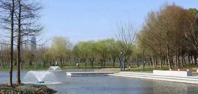张江金茂售楼处张江金茂首页-户型·日照分析(图5)