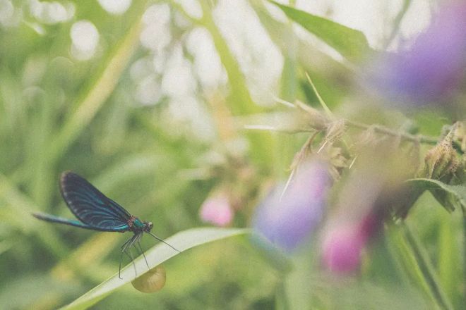 米乐M6:石家庄润江府(售楼处电线最新网站首页(图2)