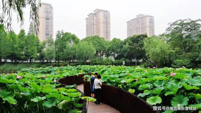 璟玥府-保利建发·璟玥府首页网站-2024年最新房价＋户型图＋配套(图11)