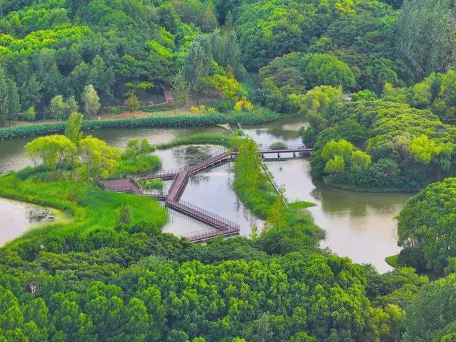 象屿联发金海汀雲台售楼处开盘现场一探究竟上海金海汀雲台简介(图9)