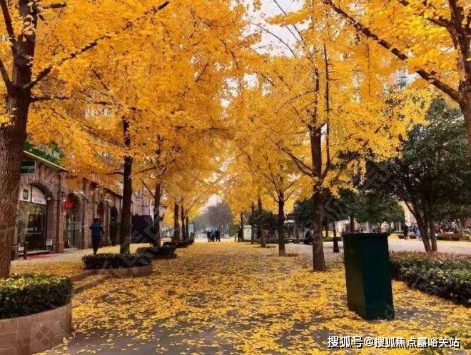 古北悦公馆2024网站发布丨古北悦公馆售楼中心欢迎您(图1)