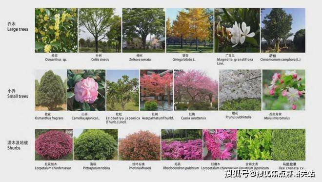 古北悦公馆2024网站发布丨古北悦公馆售楼中心欢迎您(图9)