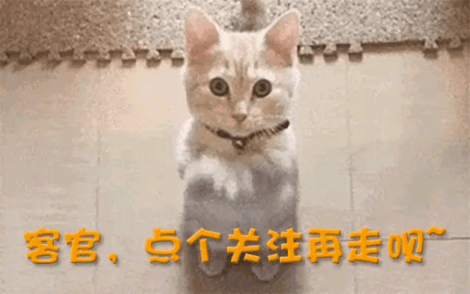 烧光上千万！欠薪闭店、实控人被抓上海又一知名健身房人去楼空(图21)