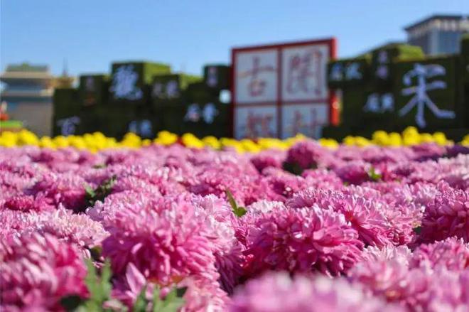 米乐M6：今日节日风俗汇总：2024年10月18日农历九月十六(图6)
