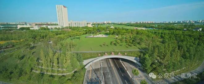 普陀金茂府售楼处发布：普陀金茂府2025网站房价(图21)