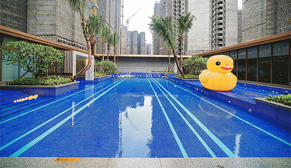 黄埔家长：小学读牛校还不够！还要九年一贯制(图17)