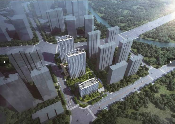 瑶海区伟星长城御澜道新房周边配套-学区(图3)