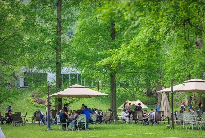 小镇新机遇:疗愈文旅!(图5)