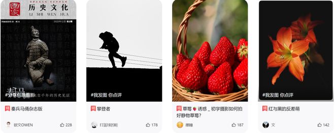 米乐M6：兴趣岛31亿老人“狂氪”兴趣课(图3)