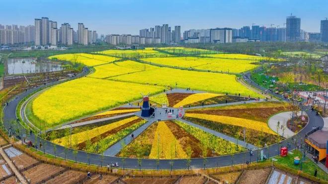 米乐M6平台：名邦·公园一品｜致安徽改善家庭：西南中芯终极致献(图5)