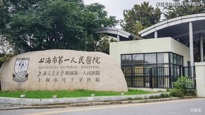 热搜NO1华发海上都荟售楼处发布：洞泾标杆力作全解析宜居范本(图22)