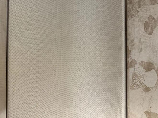 米乐M6平台:1385万㎡杨浦滨江直线米的【中信泰富外滩道】过会(图13)