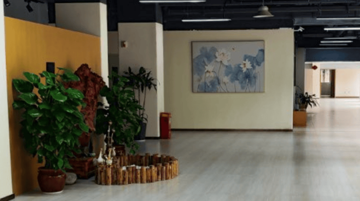 2026广州养老新选择:黄埔岭南养生谷地址及综合服务亮点全揭秘(图3)