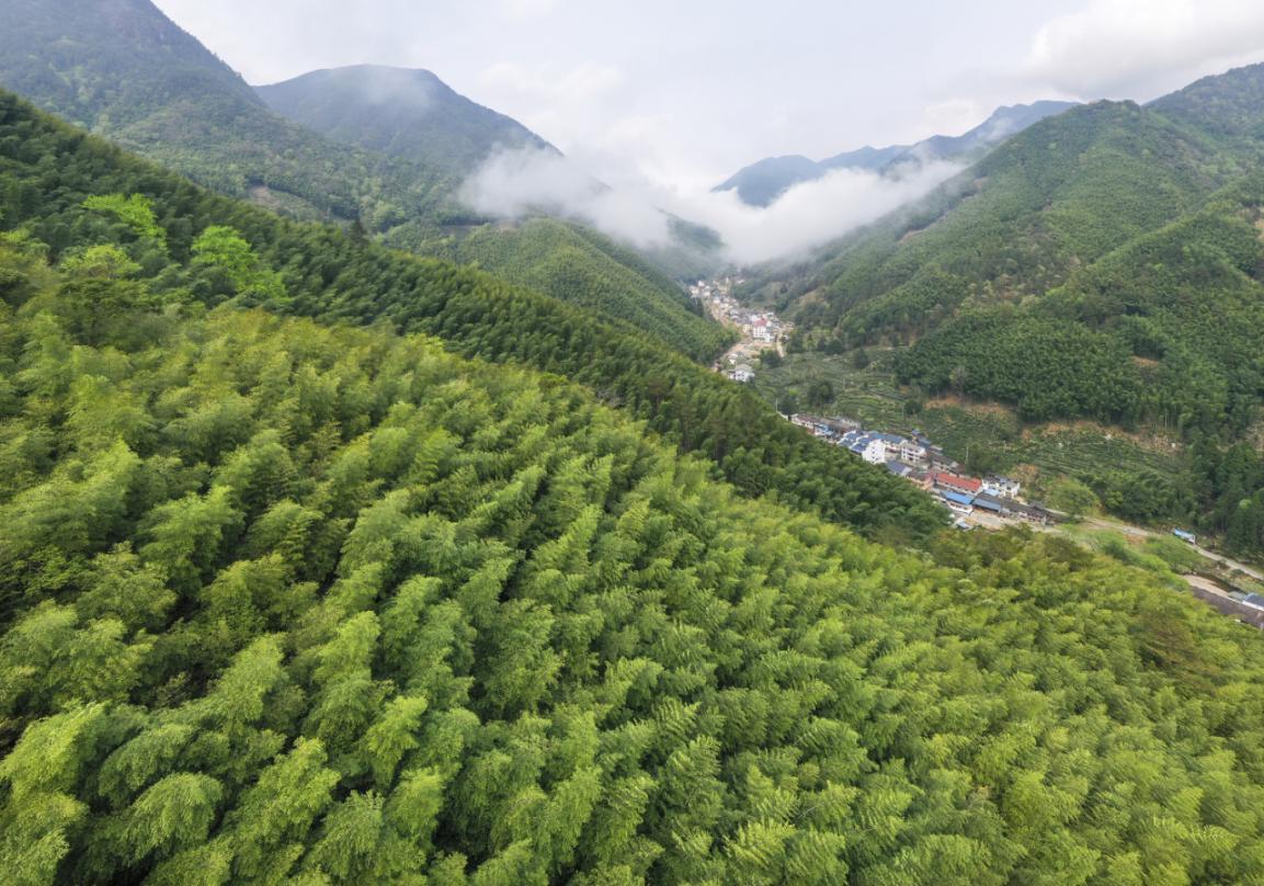 绿色产业迭代升级兴林富民步履不停——探索福建“四库”联动、绿富同兴的密码(图1)