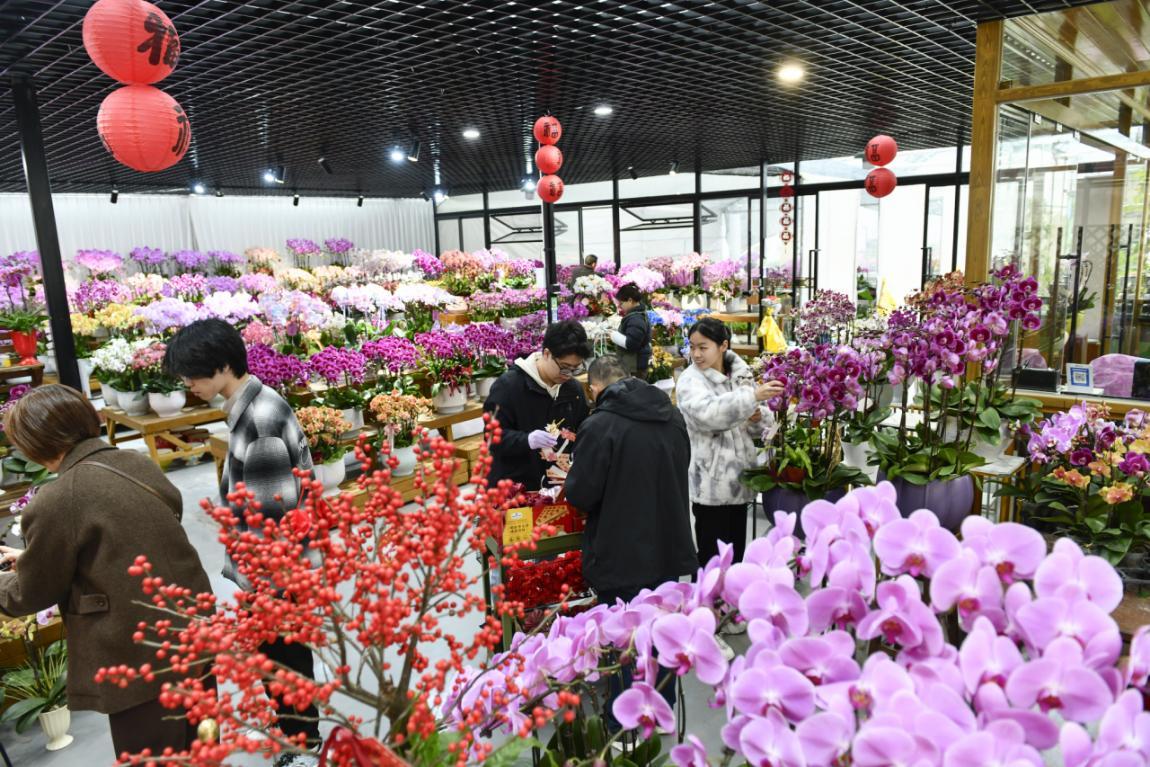 绿色产业迭代升级兴林富民步履不停——探索福建“四库”联动、绿富同兴的密码(图2)