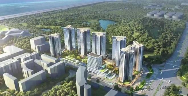 碧海玖号花园：22低密小高层前海西宜居新标杆！(图9)