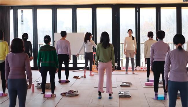 米乐M6：兴趣岛瑜伽学堂：让中式养生智慧点亮我的健康生活(图1)