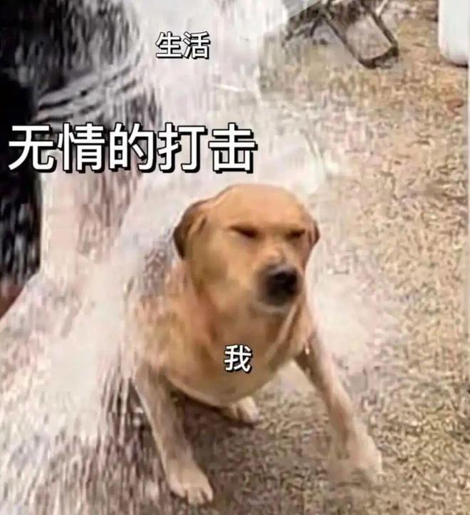 比起昂贵的瑜伽裤这些更容易释放PFAS的东西你每天都在吃、在用(图5)